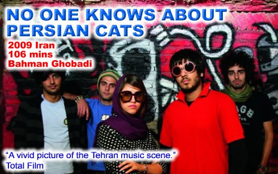 No One Knows About Persian Cats 