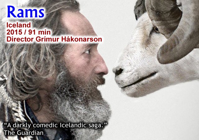 Rams