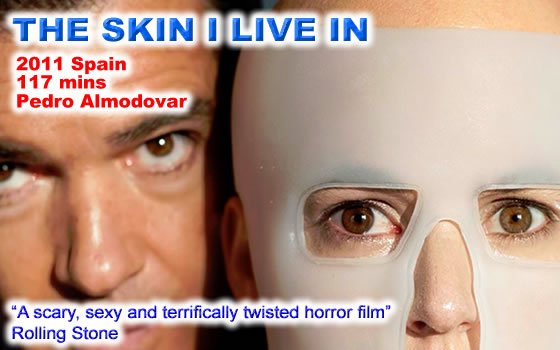 The Skin I Live Inย